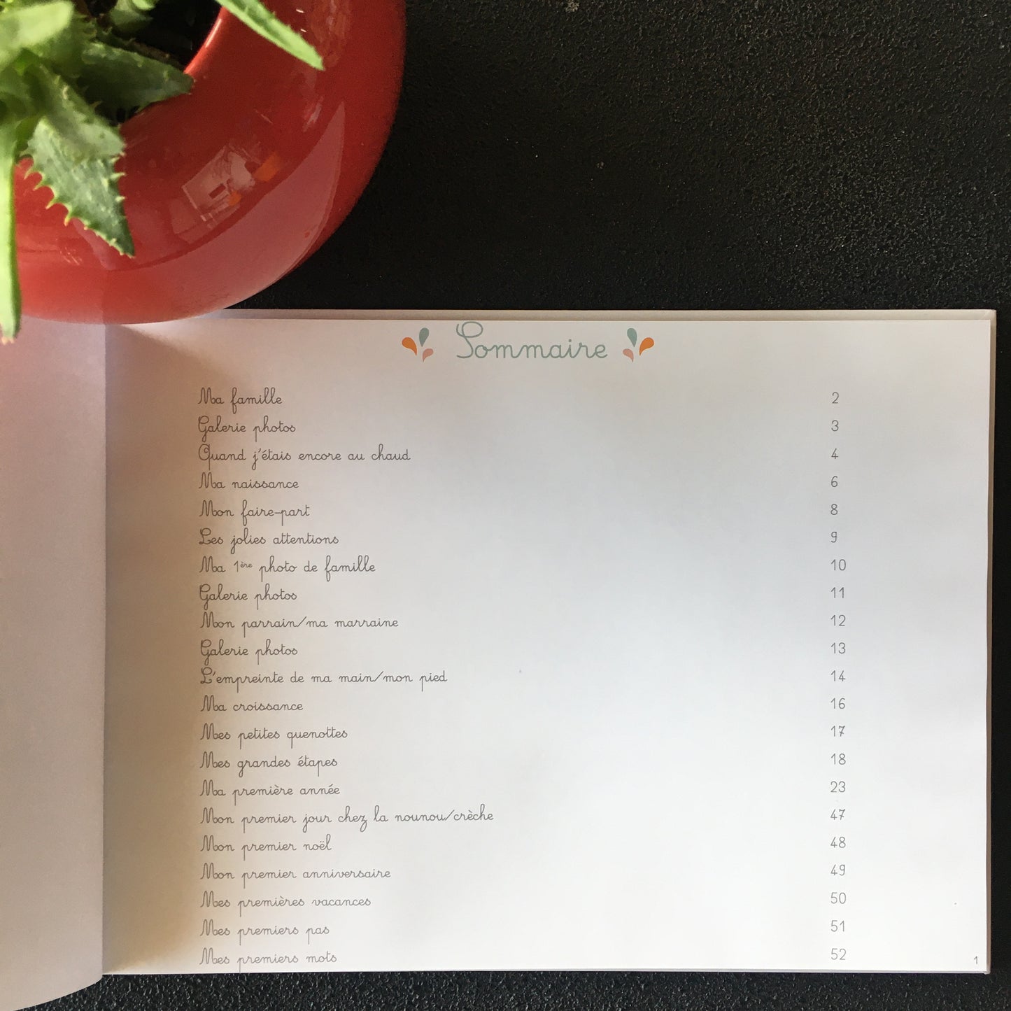 L'album de mon bébé