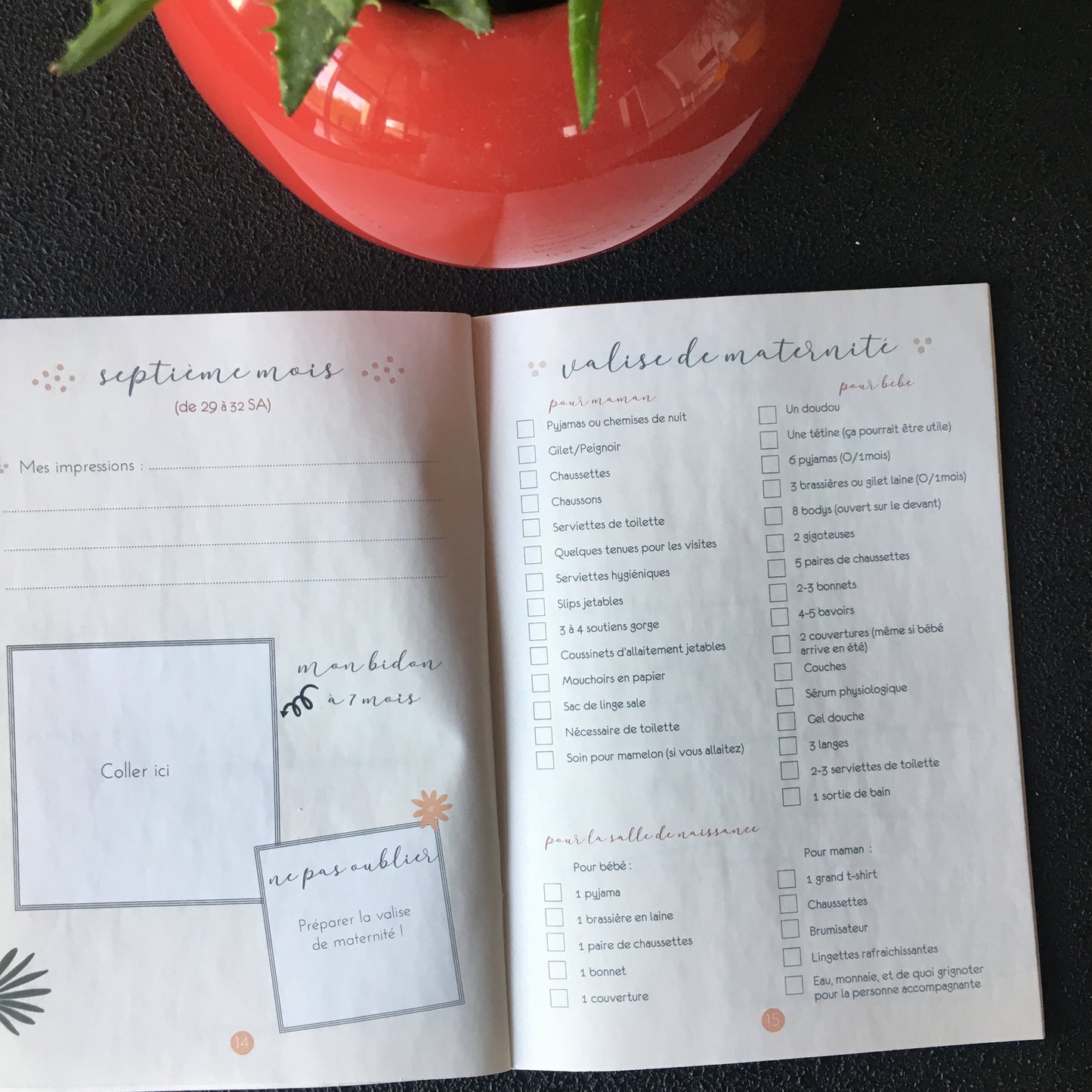 Mon journal de grossesse