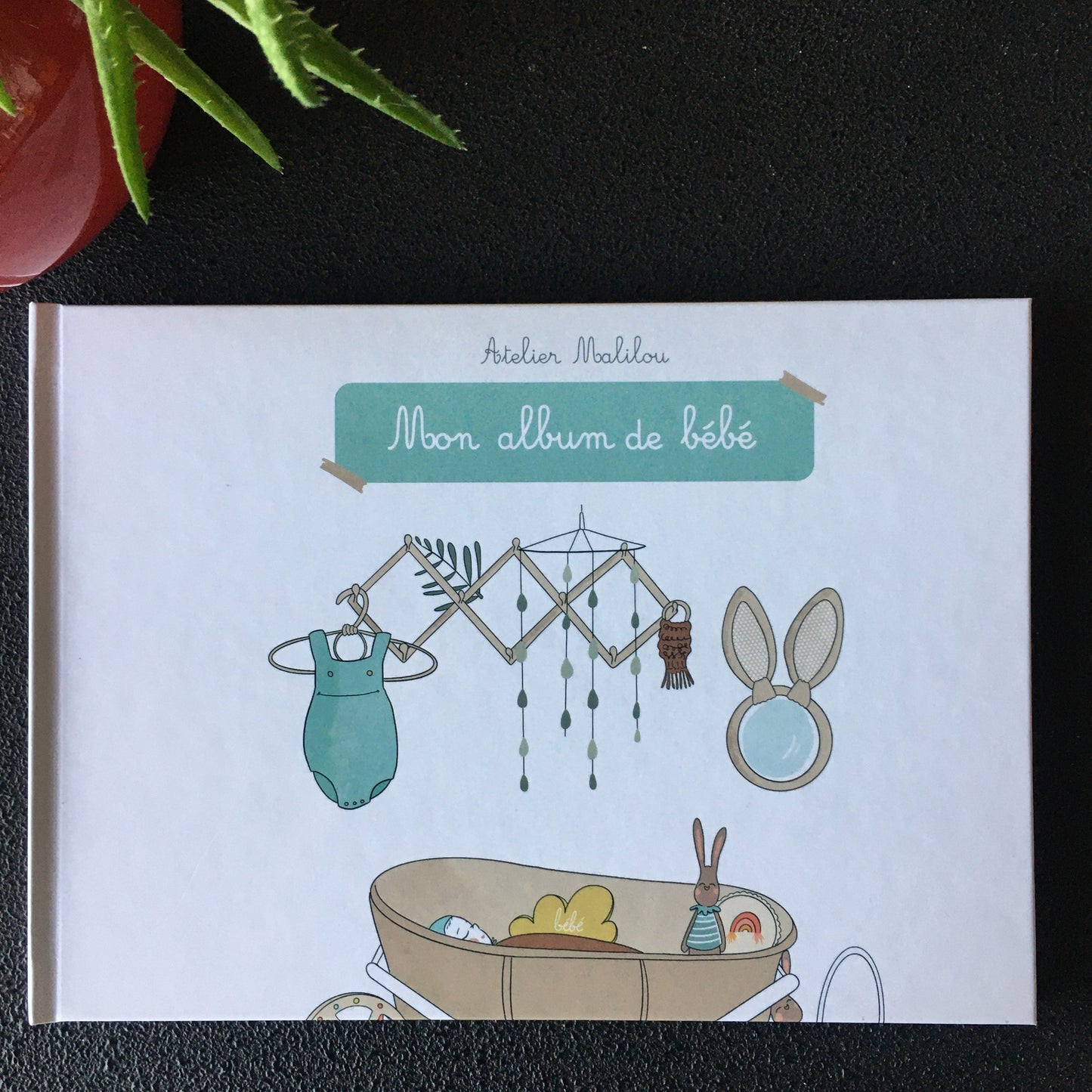 album naissance bébé