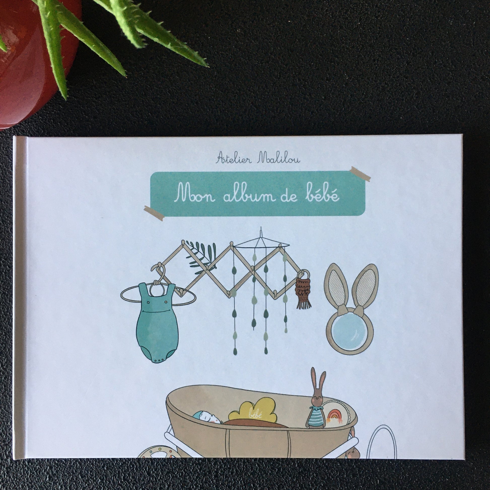 album naissance bébé