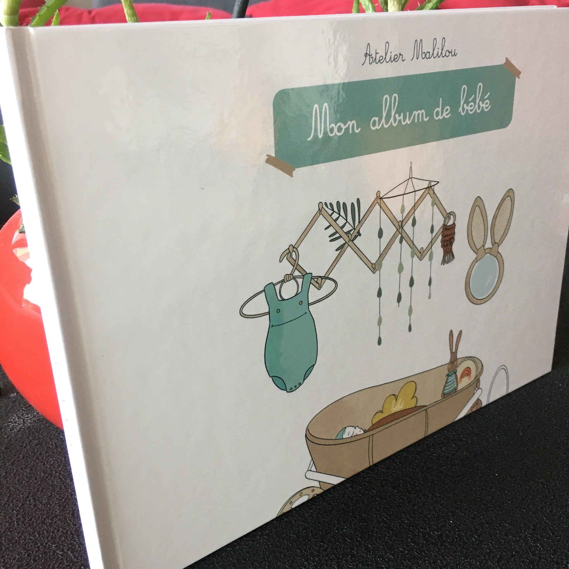 album naissance bébé
