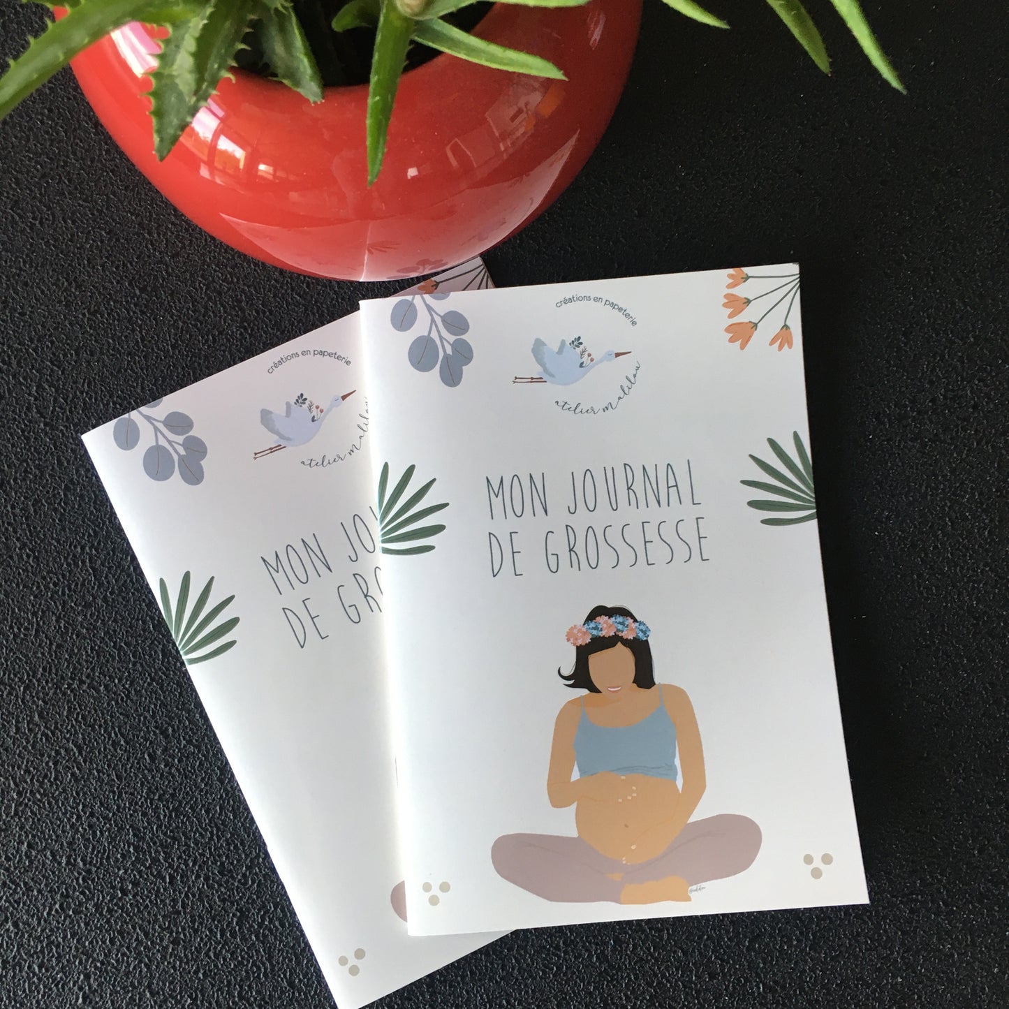 journal de grossesse