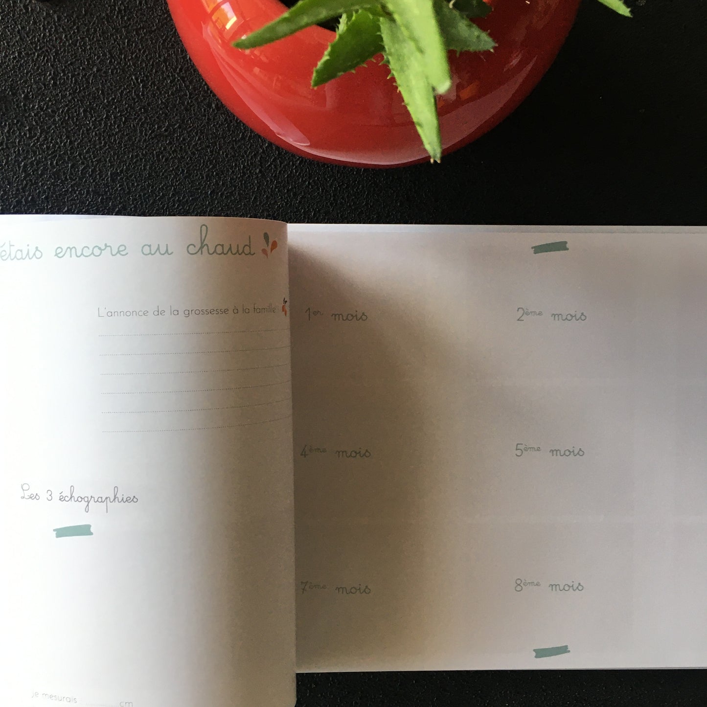 L'album de mon bébé