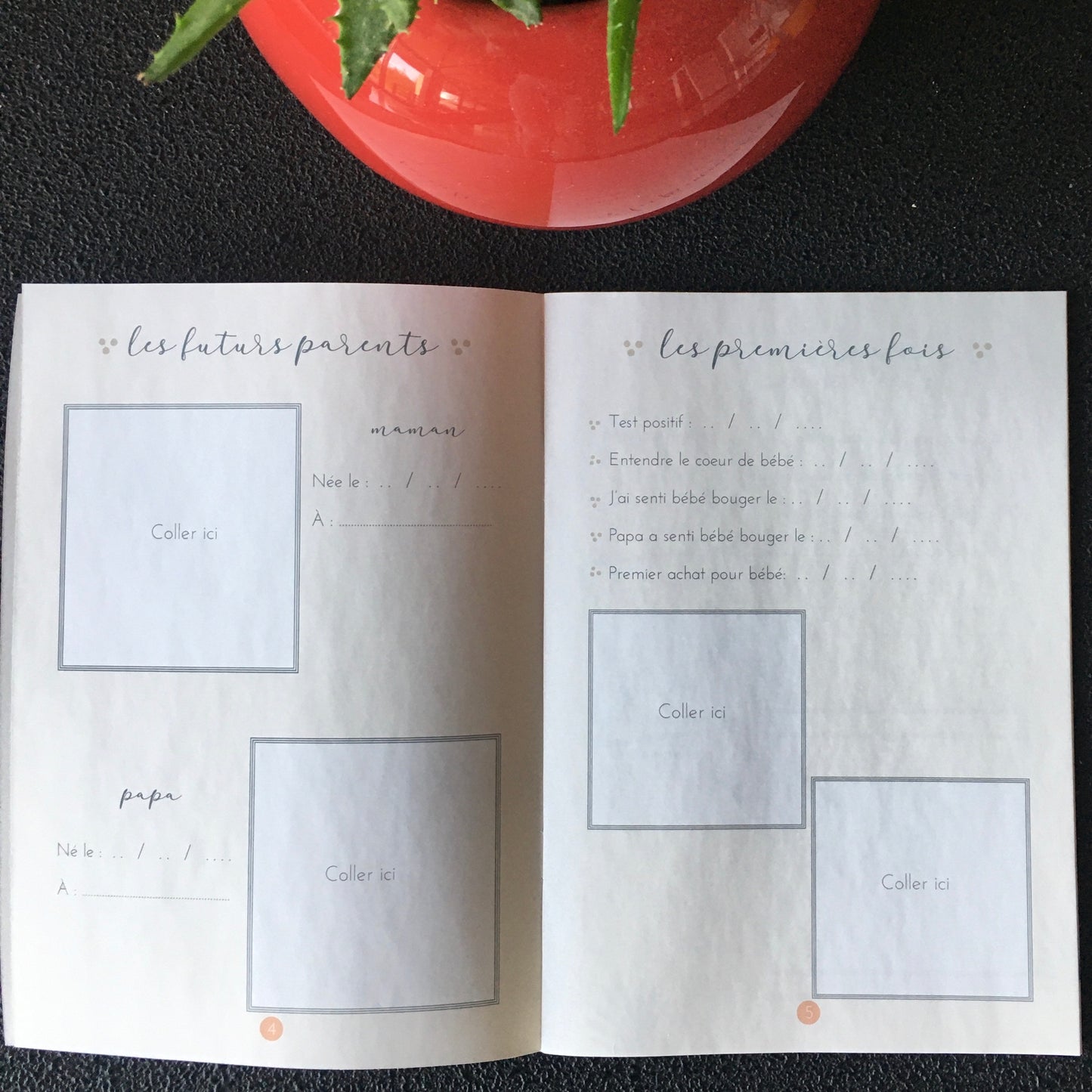 Mon journal de grossesse