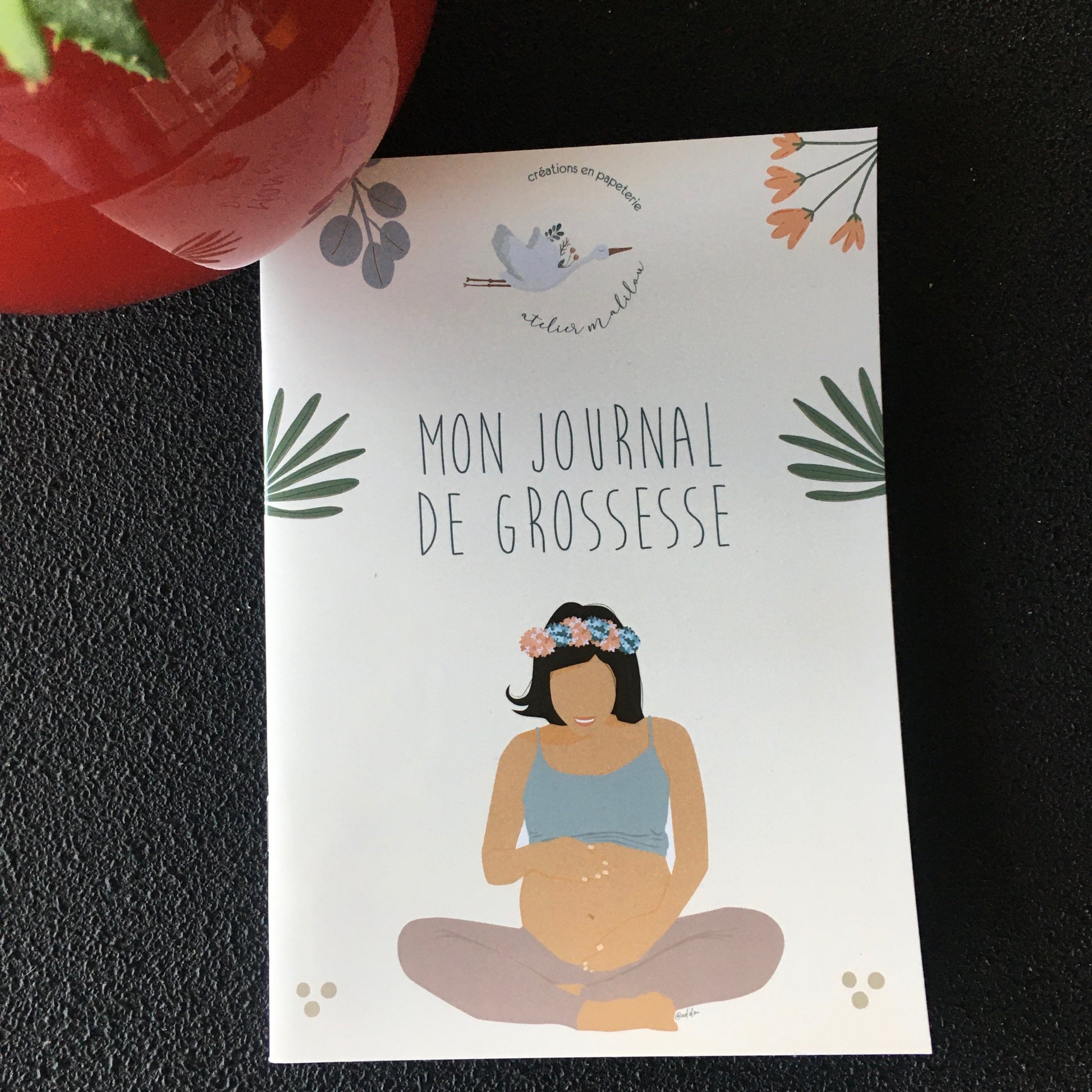 journal de grossesse